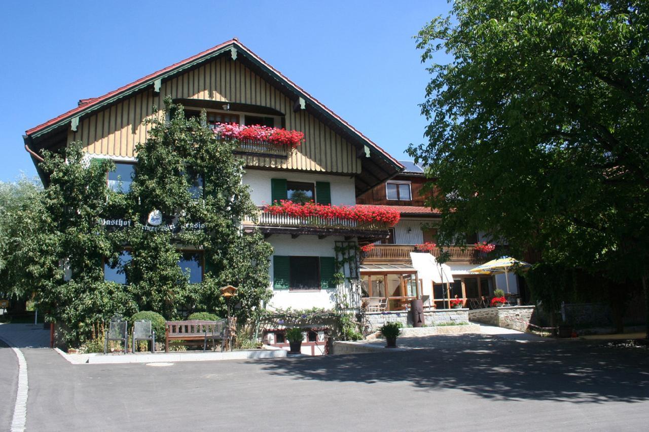 Steiner Wirt Hotel Tiefenbach  Exterior foto